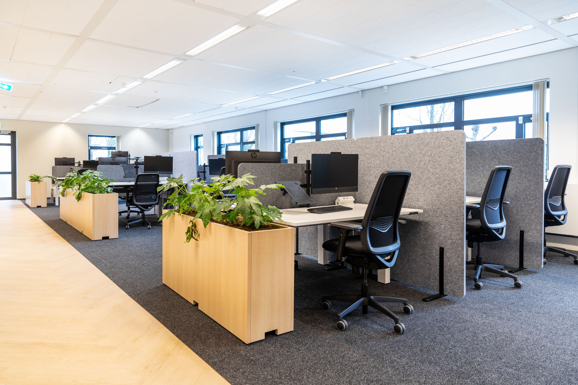 akoestiek