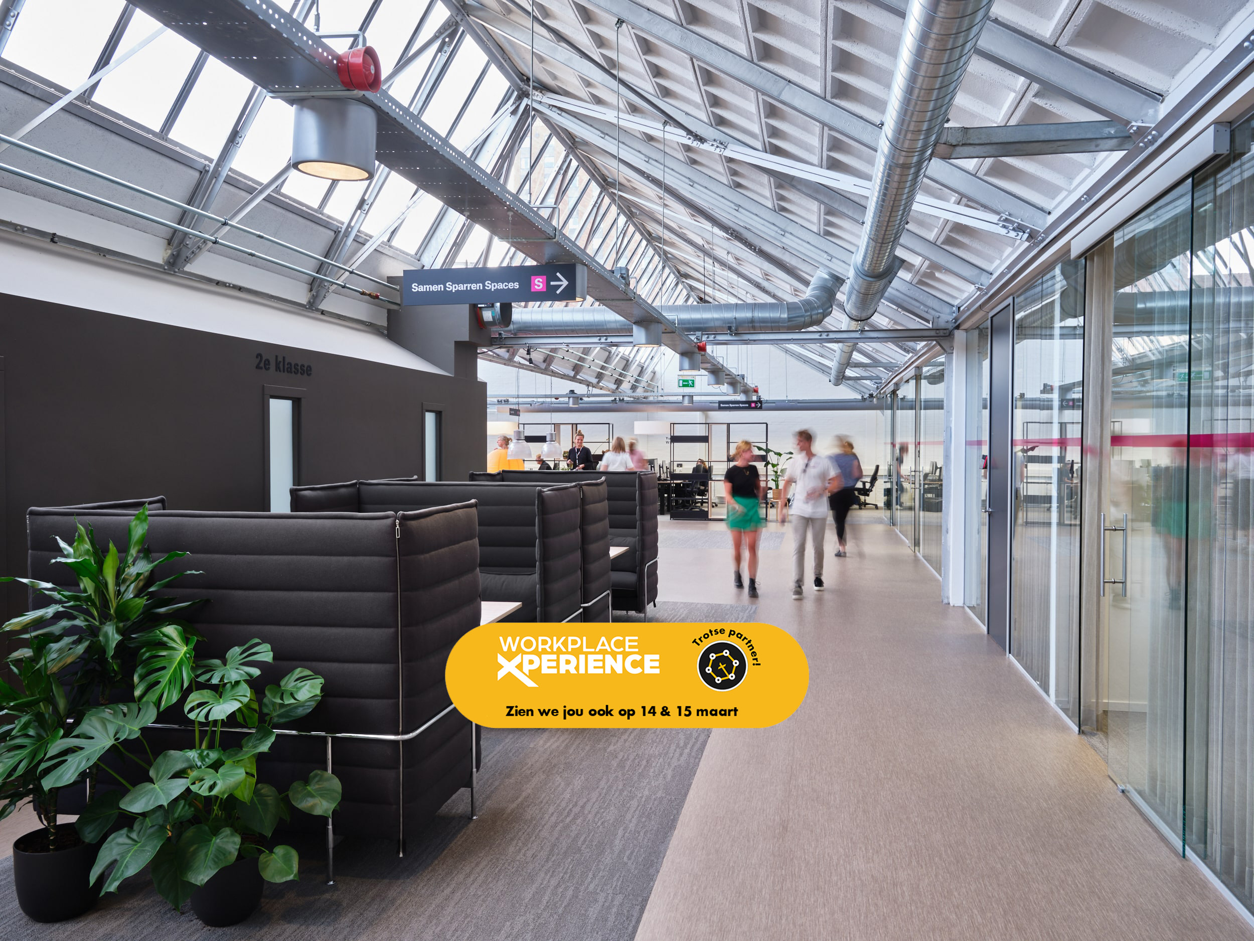 Alvero Workplace Xperience