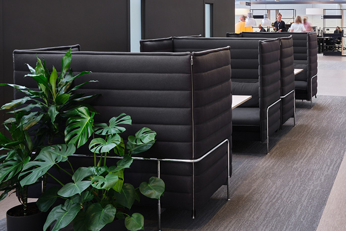 Akoestische softseating huren
